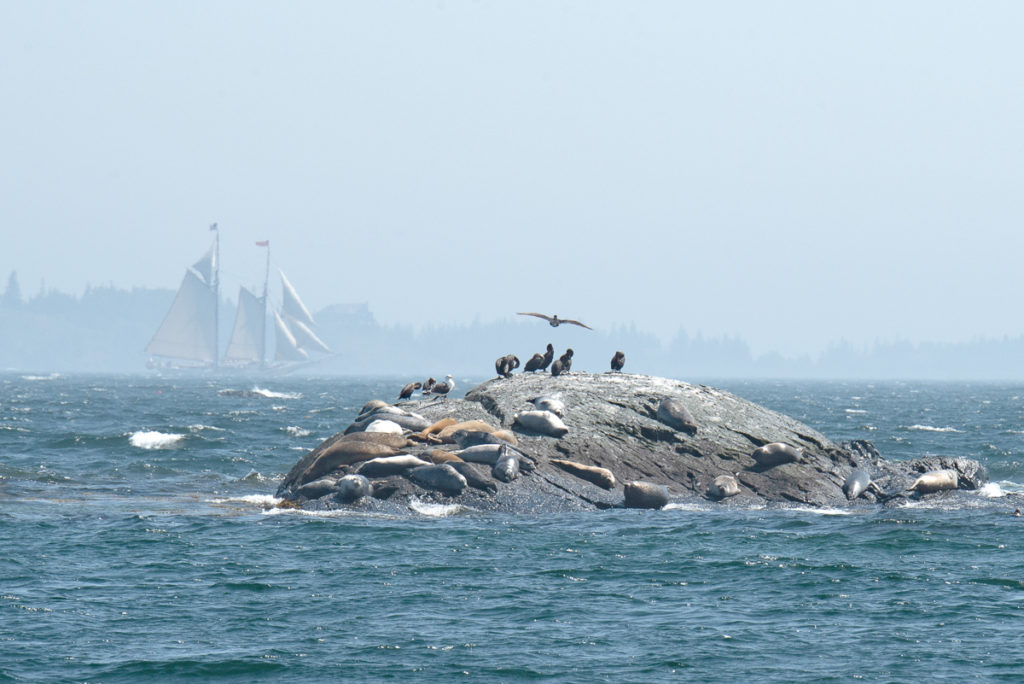 Spectators of all kinds watch the race