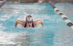 Sealander specializes in the butterfly