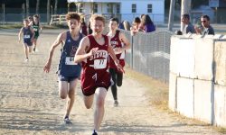 Eagle Trevor Cochrane